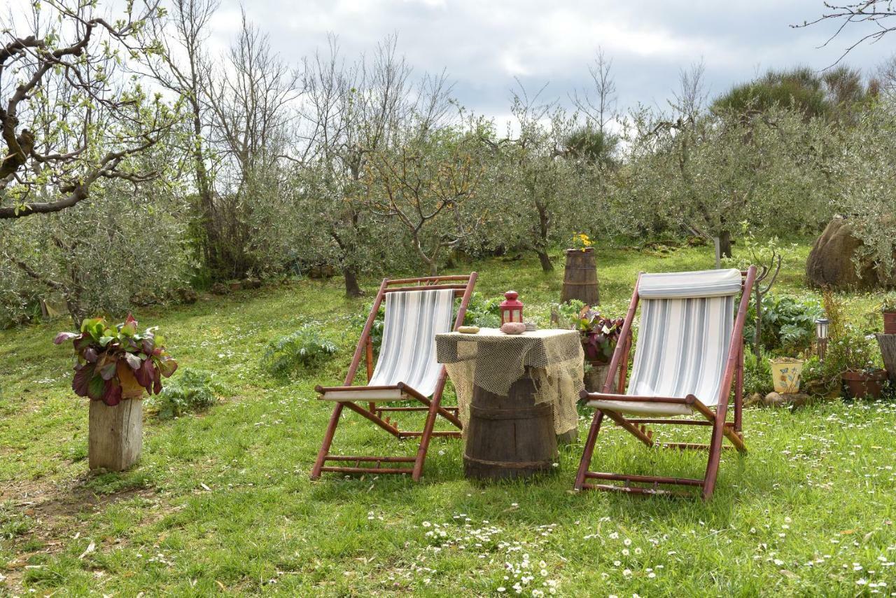 Agriturismo Campo Alla Piana Vila Monticchiello Exterior foto